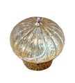 20231022_103354-removebg-preview.png