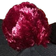 pompon am.png